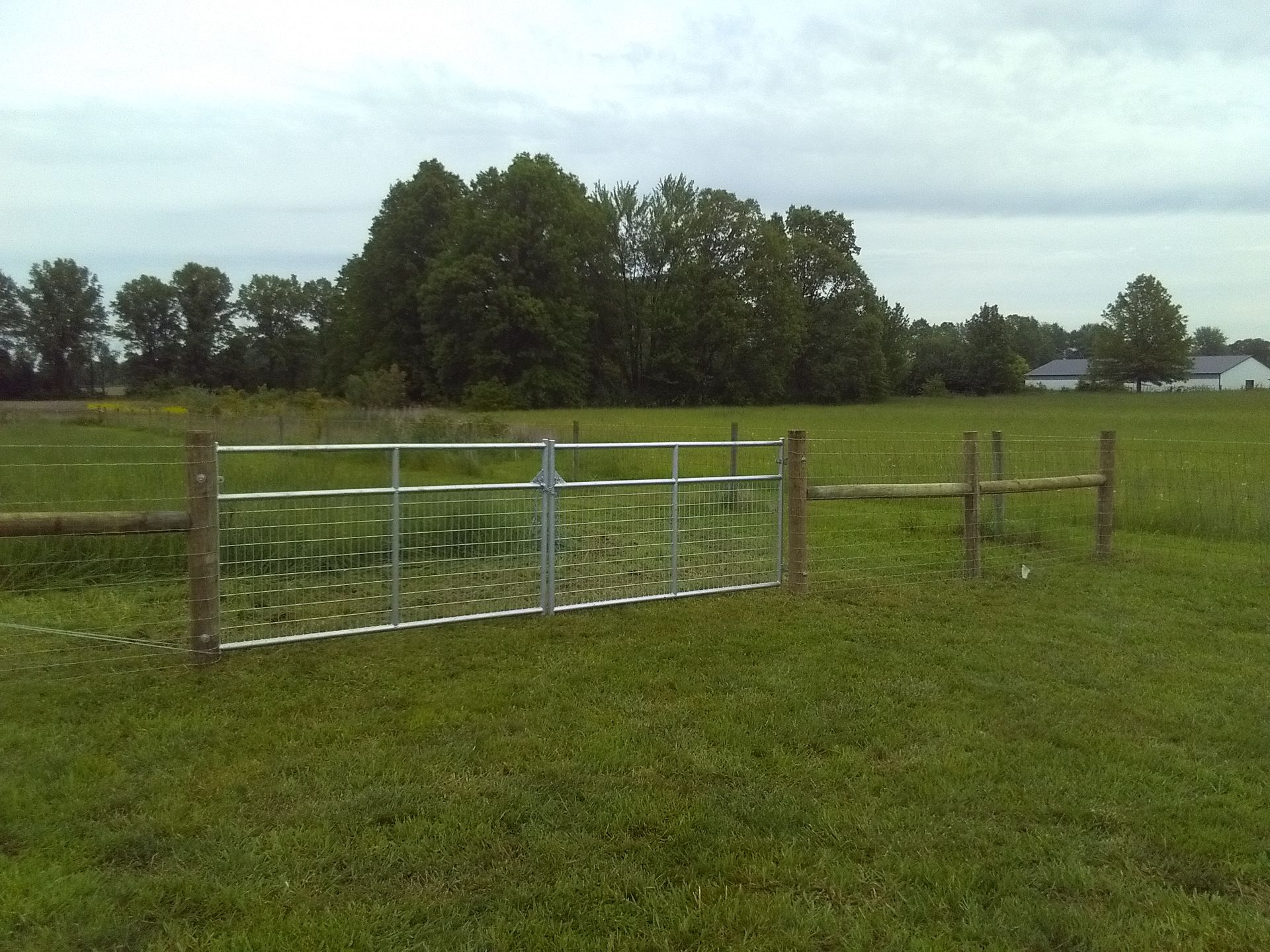 A gate in a grassy field with trees in the background
