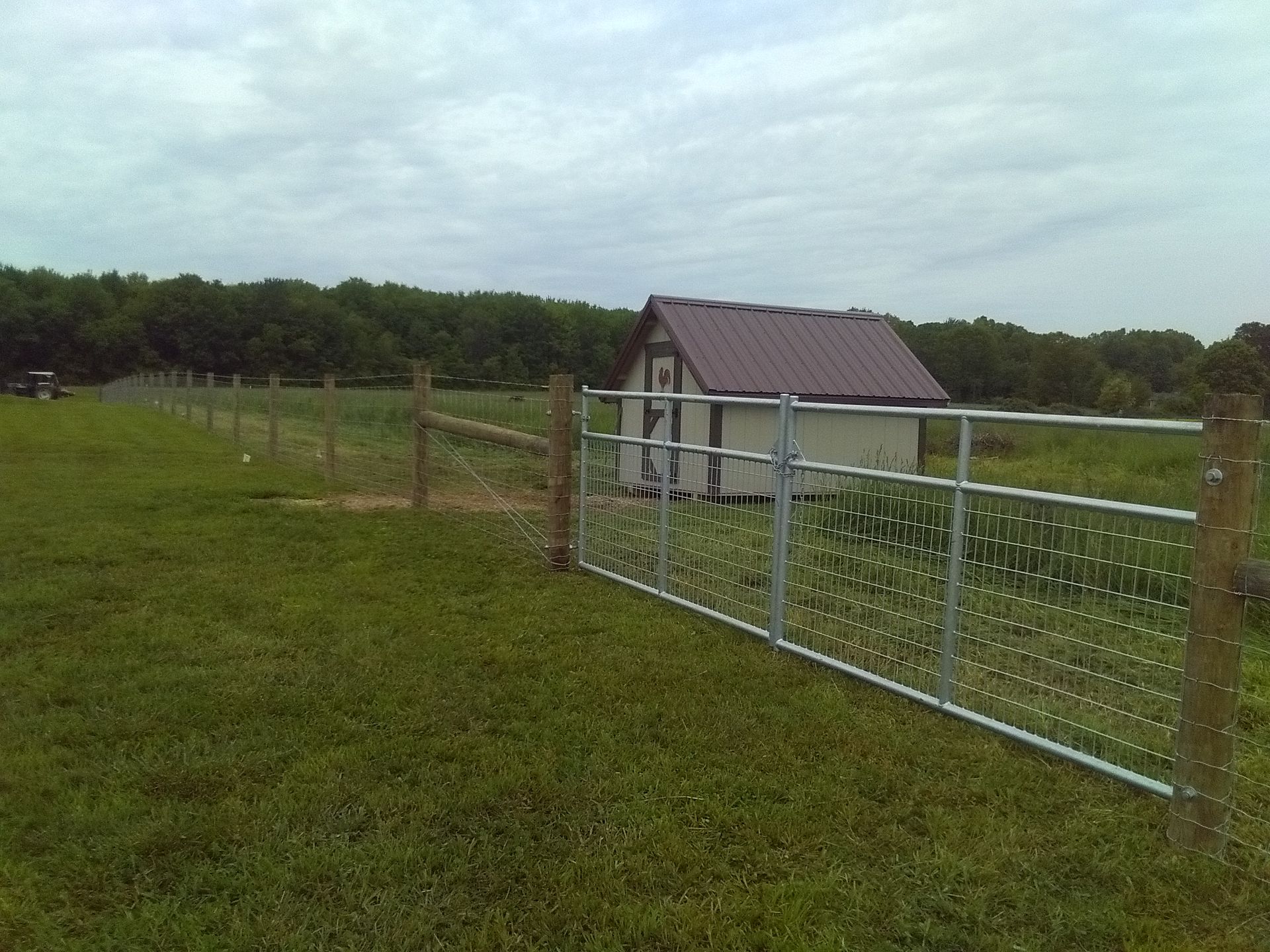 A fence surrounds a grassy field with a shed in the background.