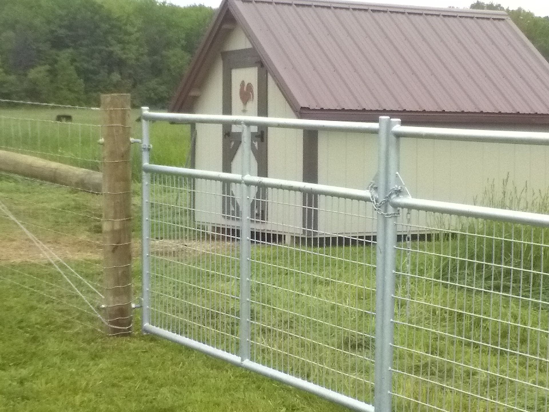 A fence with a chicken coop in the background