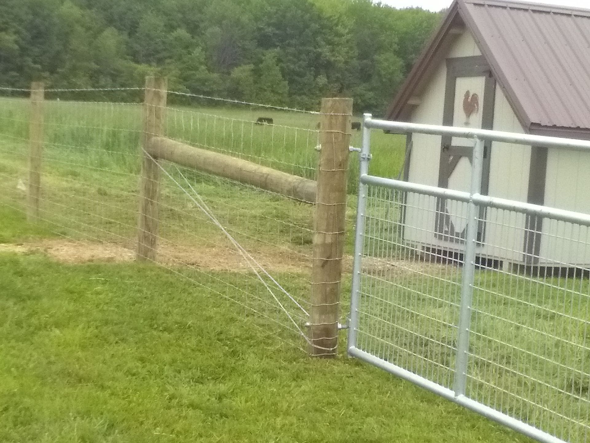A fence in a grassy field with a barn in the background.