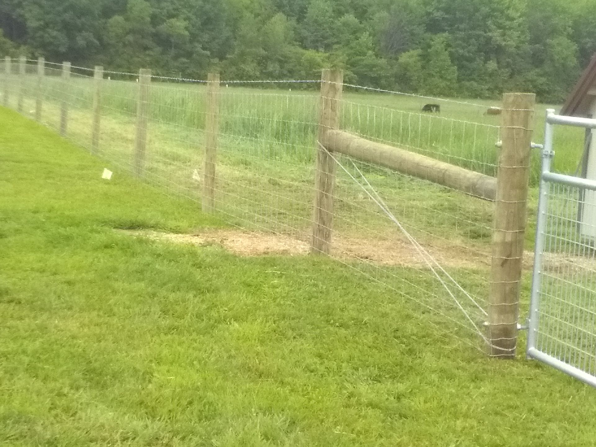 A wooden fence surrounds a grassy field with a gate.