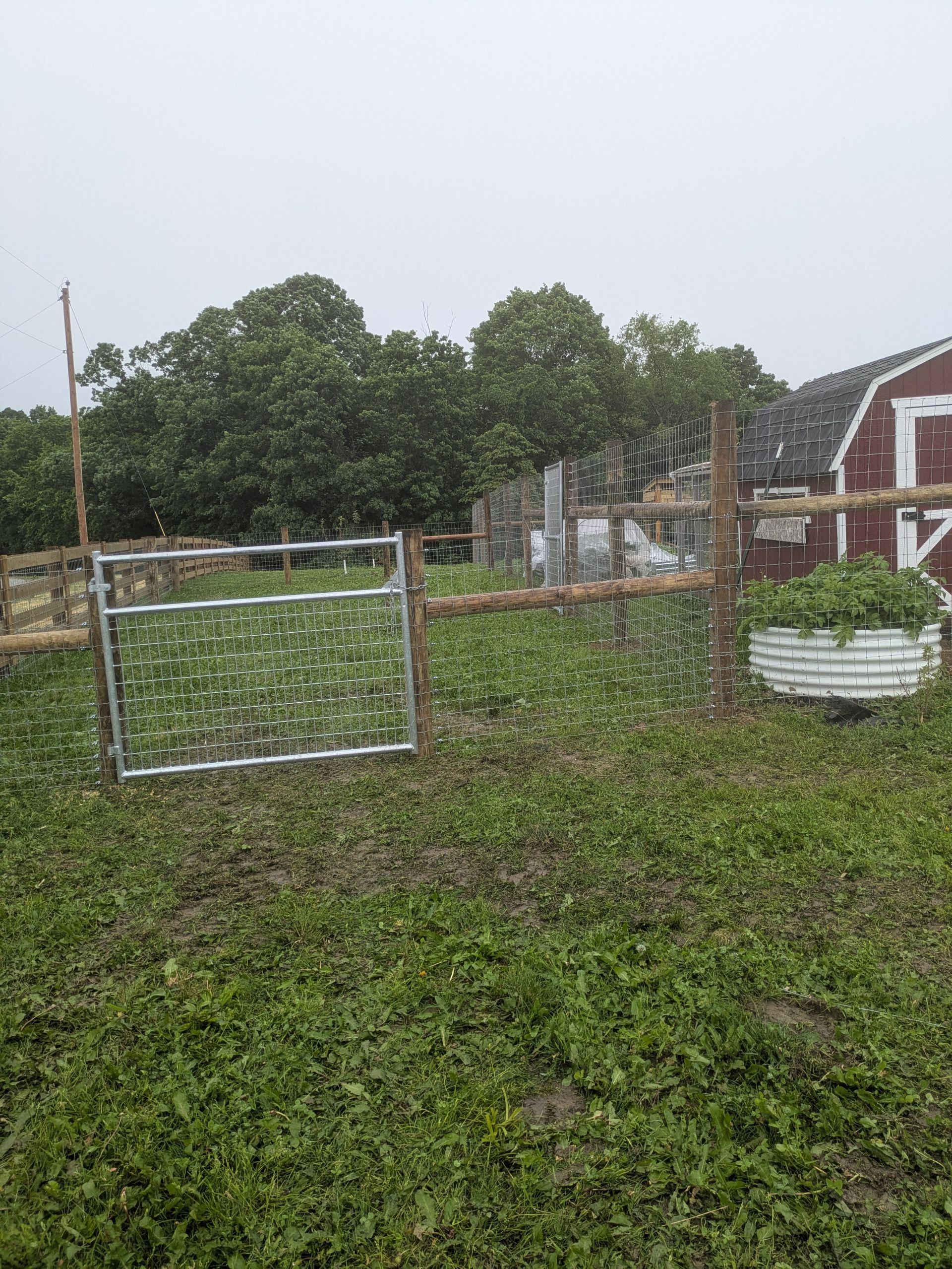 There is a barn in the background and a gate in the foreground.