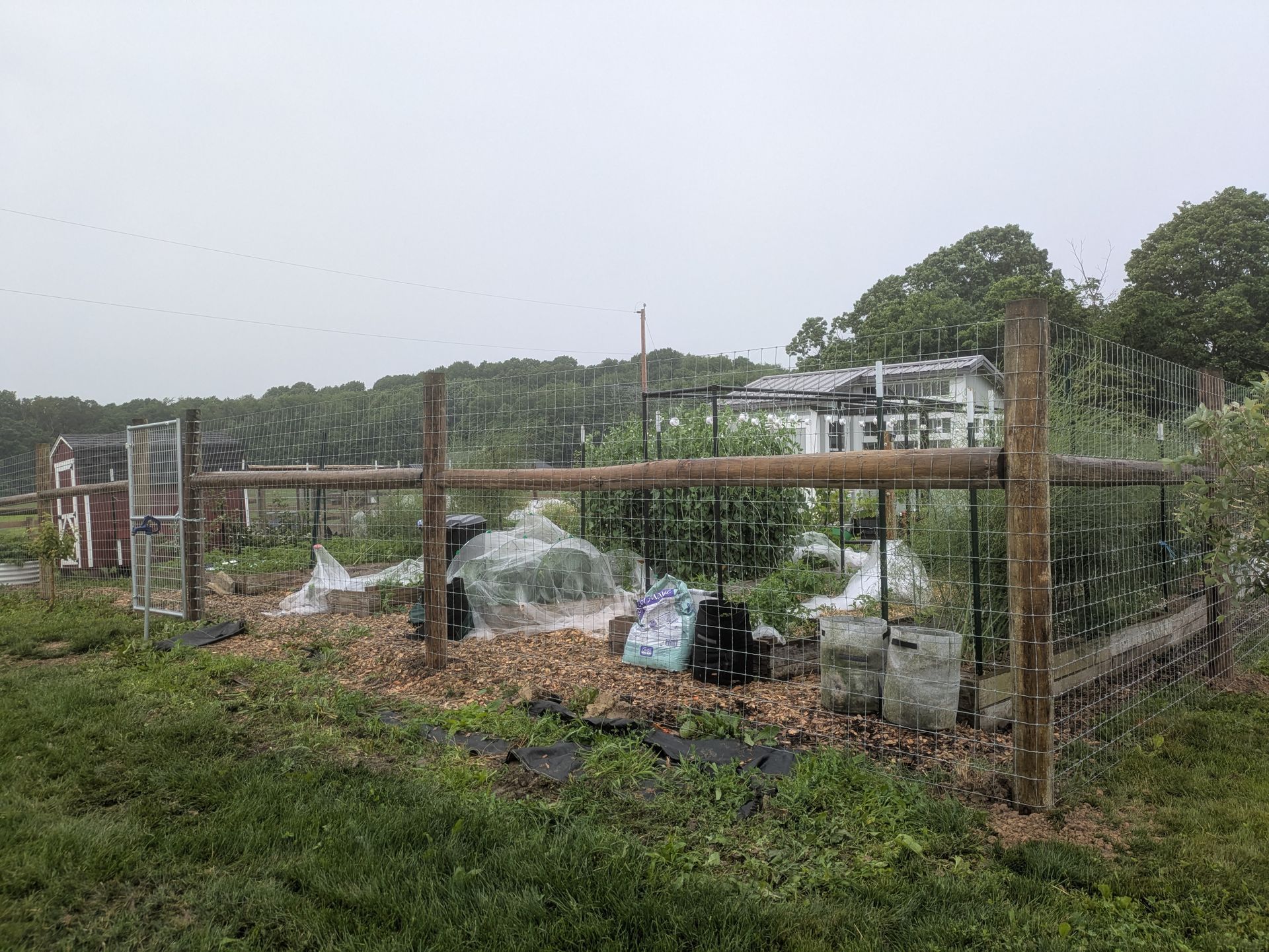 A garden with a fence and a house in the background.