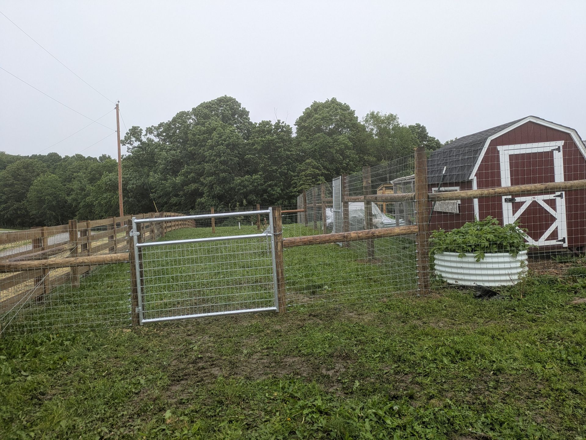 A red barn is behind a fence in a field.