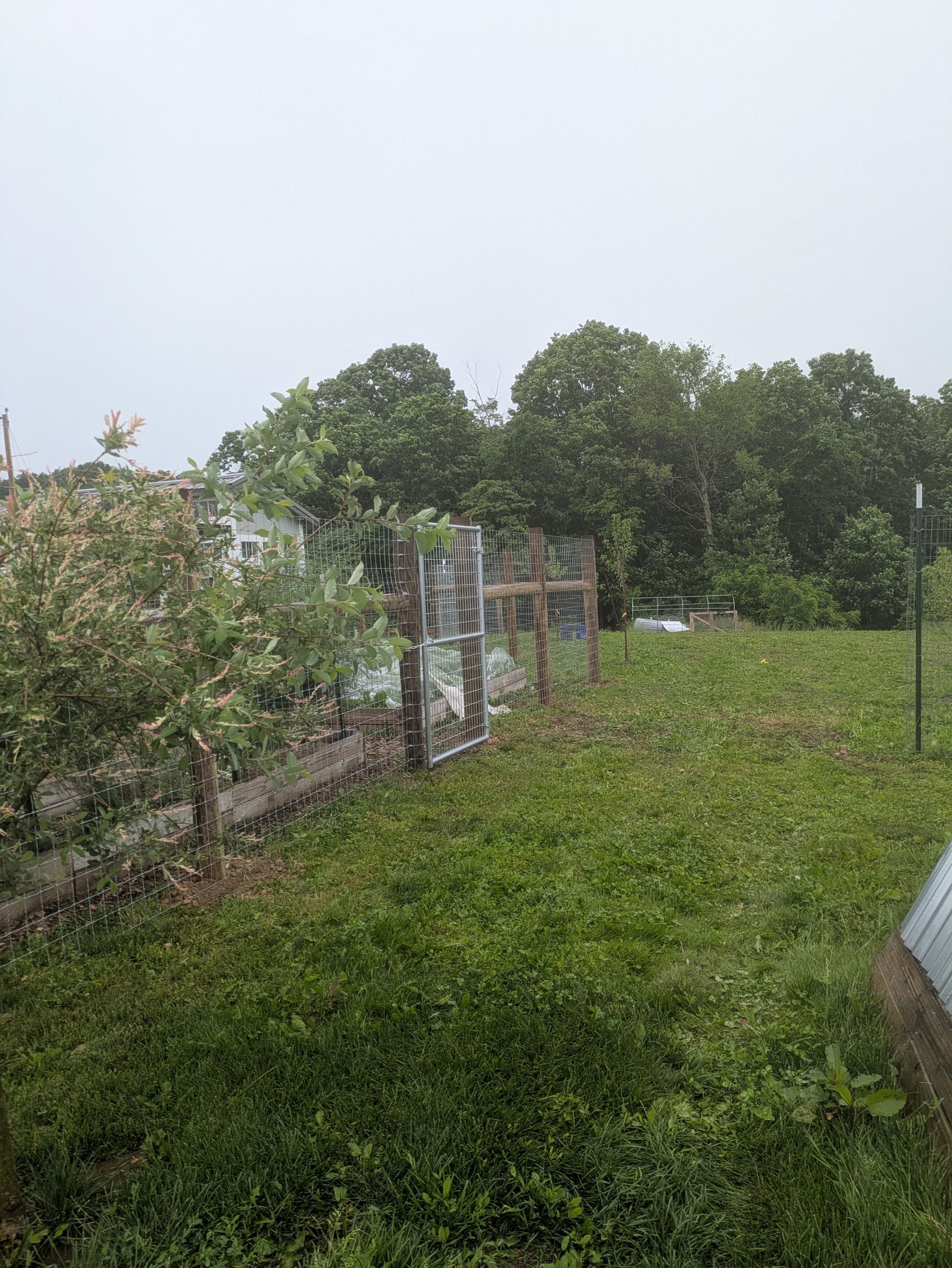 There is a fence in the middle of a field with trees in the background.