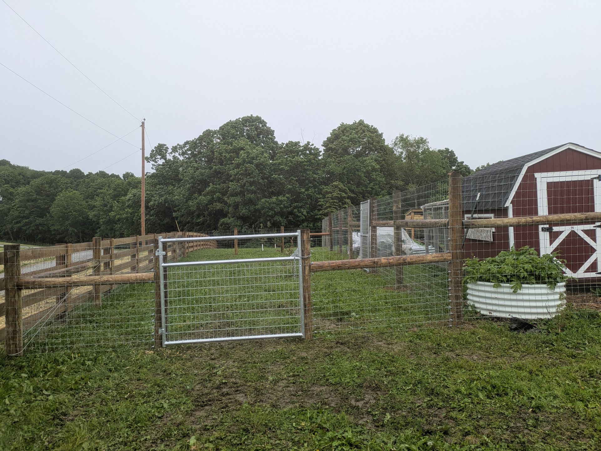 A fenced in yard with a red barn in the background.
