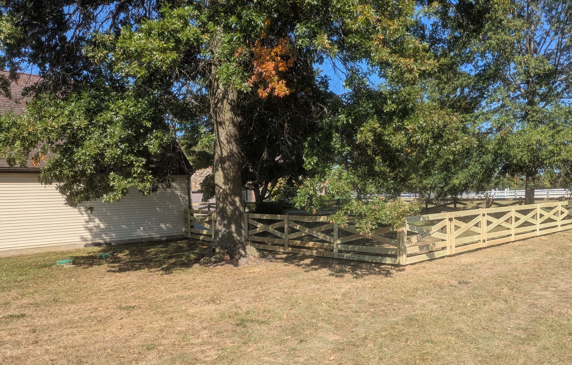 Wooden fence surrounding a tree, next to a building on a sunny day.