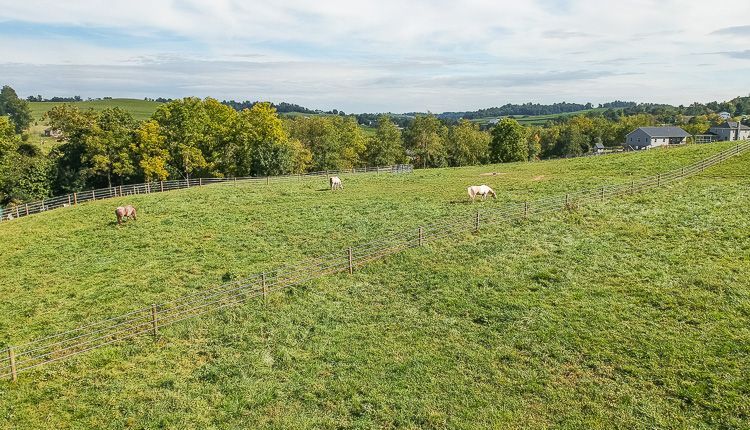 An aerial view of a lush green field with a house in the background.