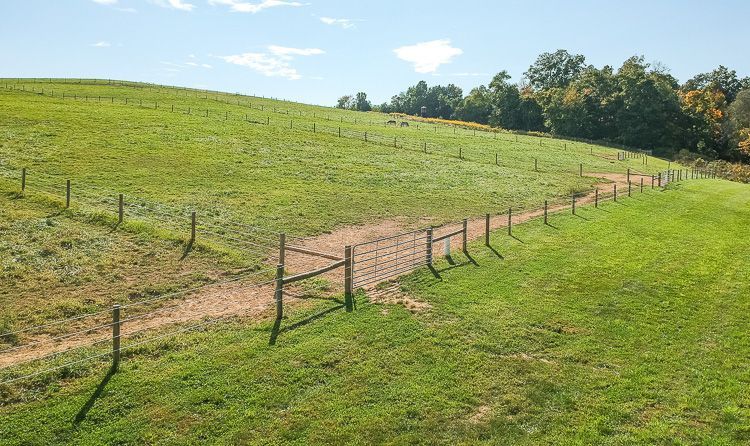 A large grassy field with a fence and trees in the background.
