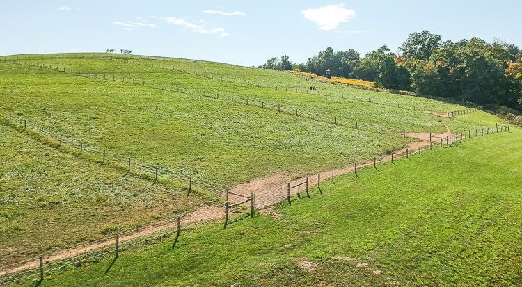 A fence surrounds a grassy field with trees in the background.