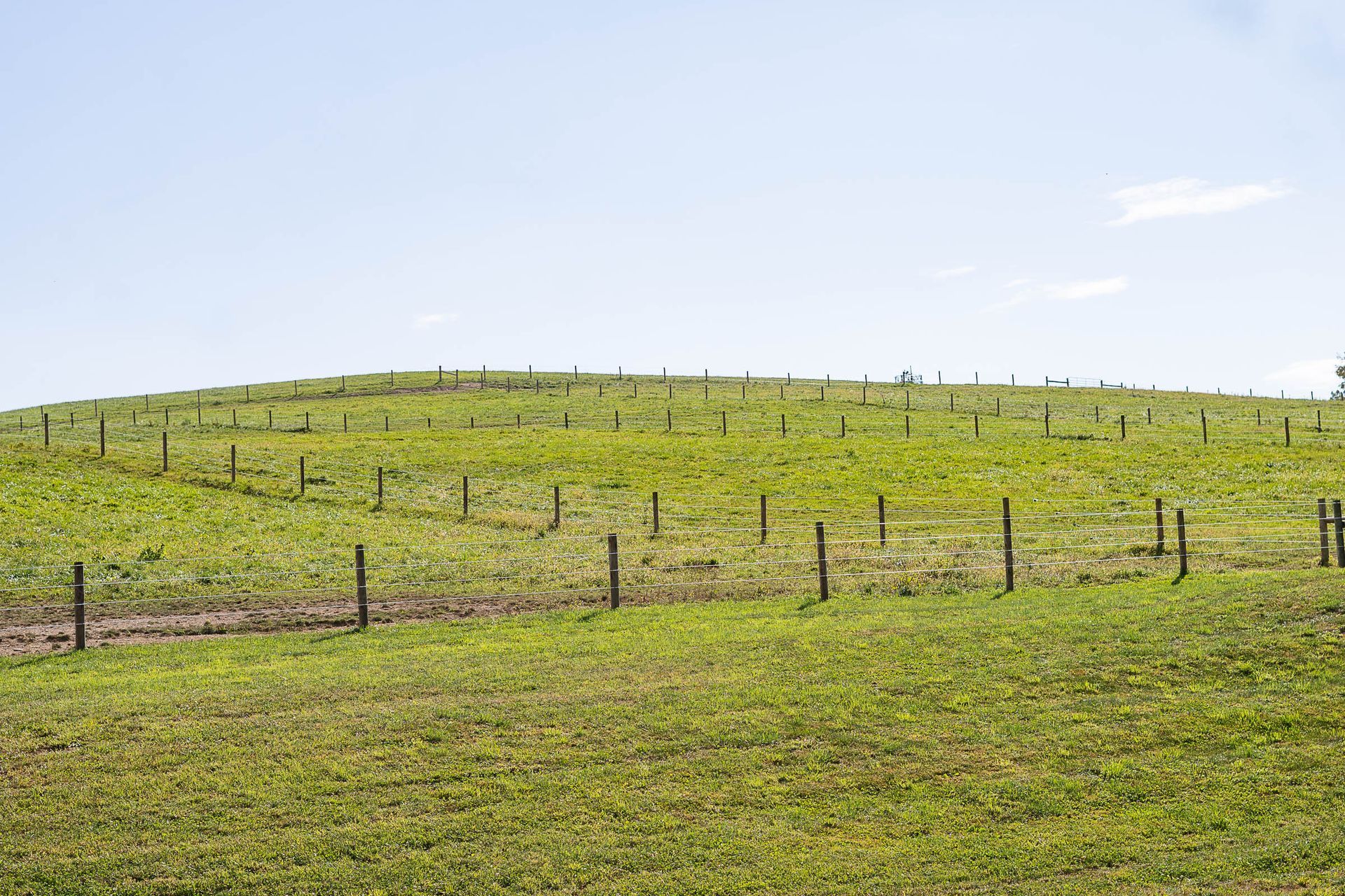 A wooden fence surrounds a lush green field.