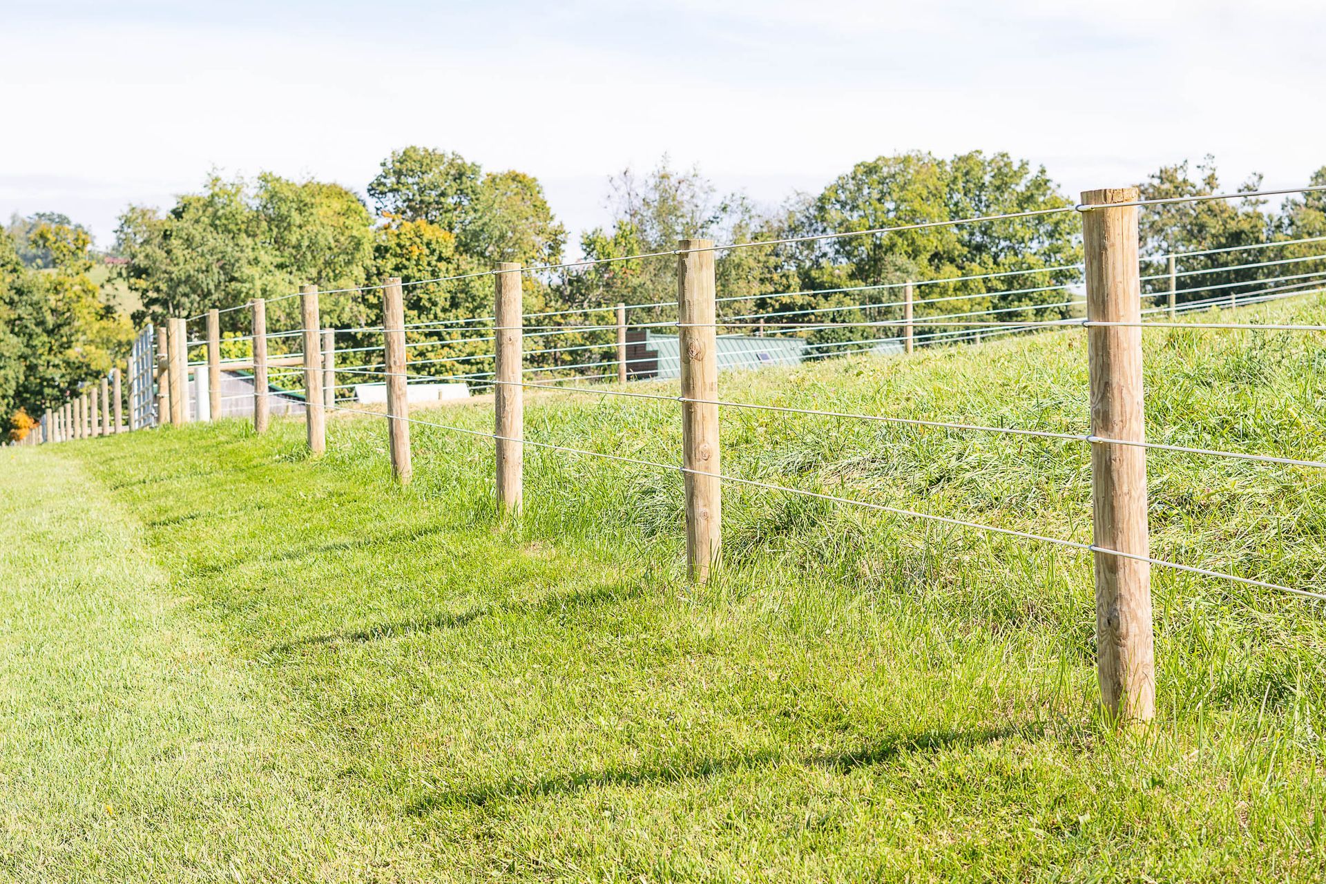 A row of wooden fence posts in a grassy field.