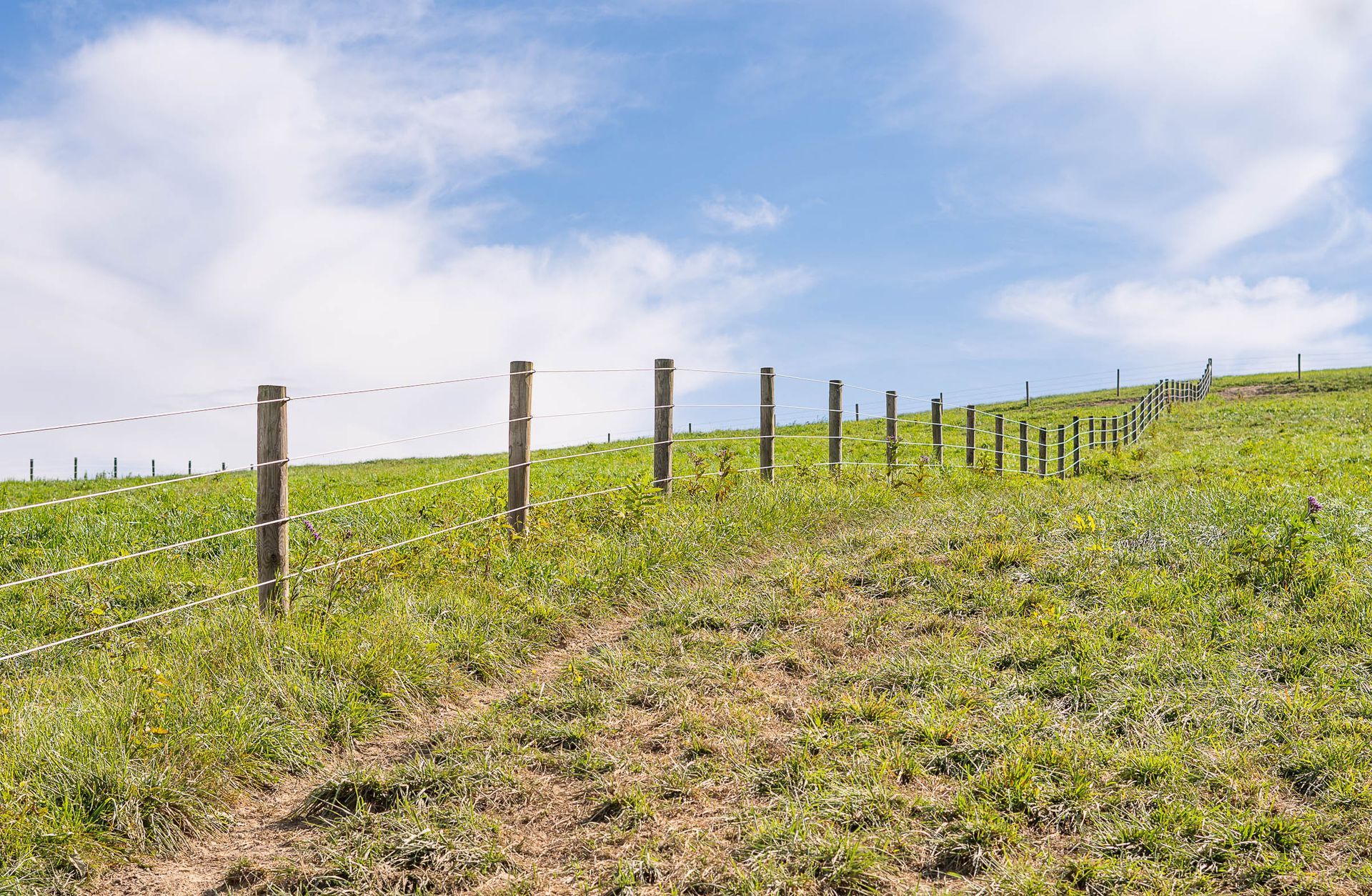 A fence surrounds a grassy field with a dirt path going through it.
