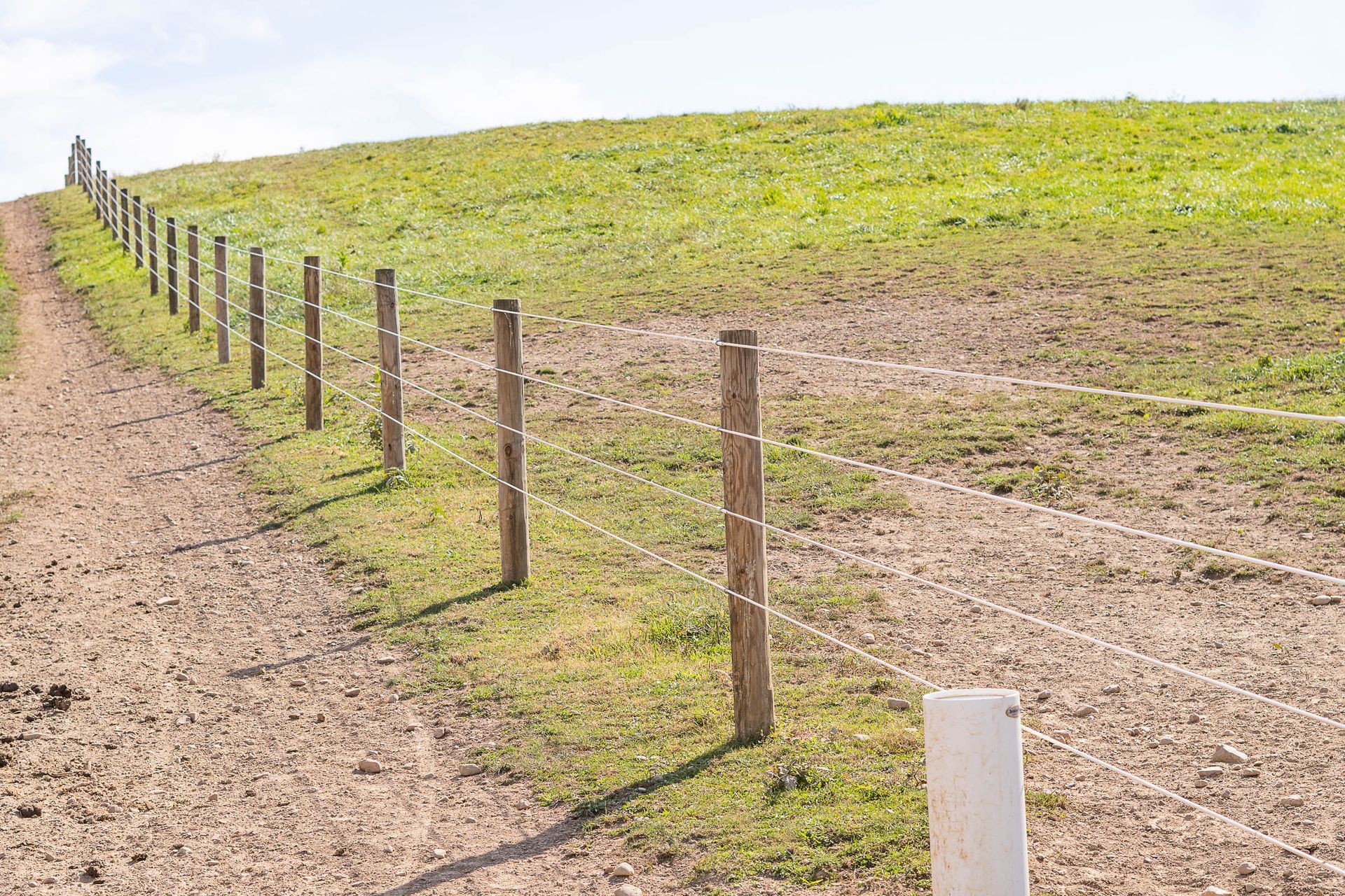 A dirt road going through a grassy field with a barbed wire fence
