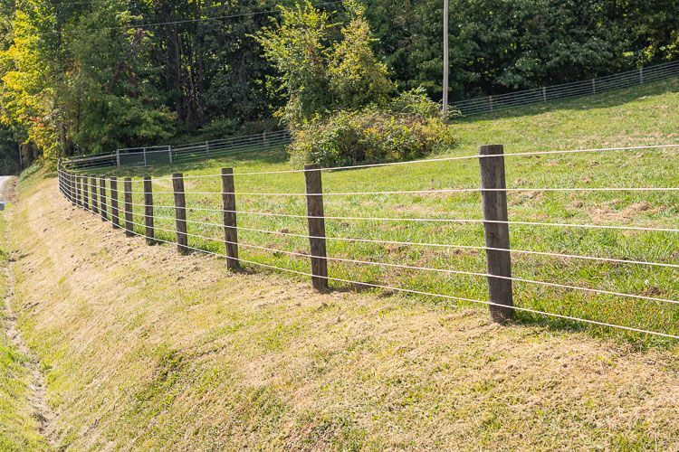 A fence surrounds a grassy hillside with trees in the background.