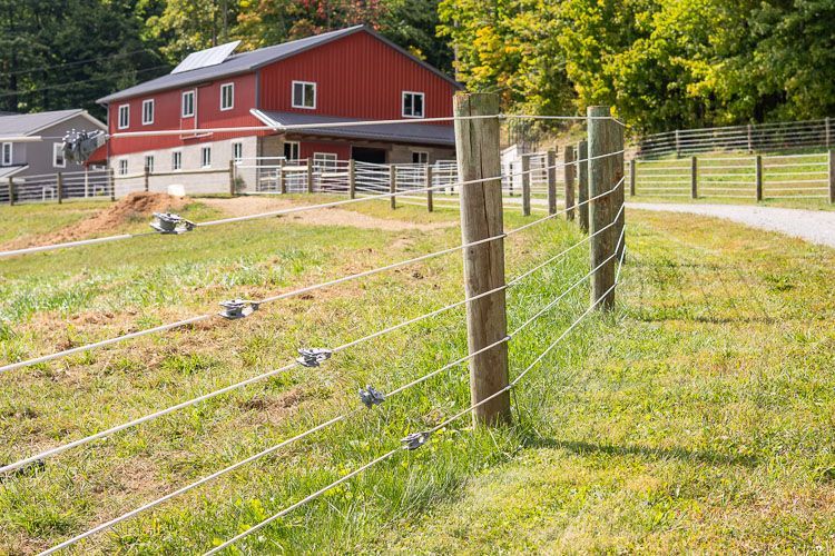 A fence surrounds a grassy field with a red barn in the background.