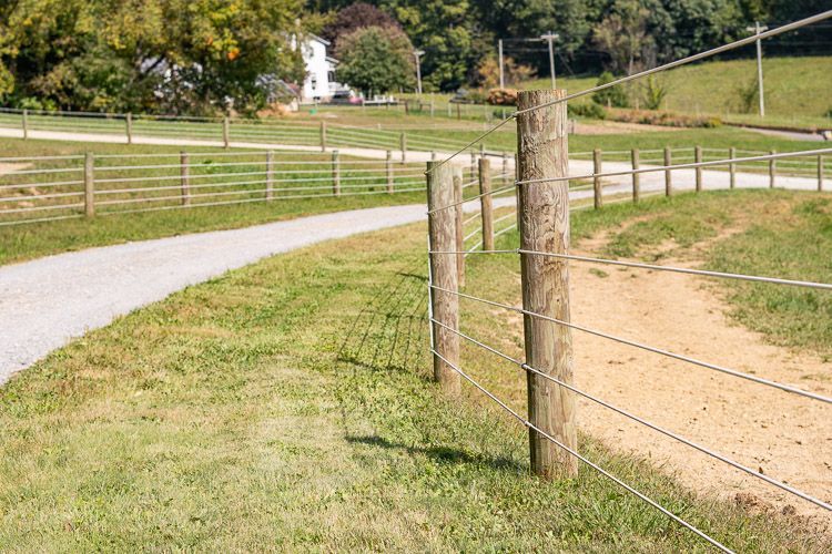 A wooden fence surrounds a grassy field next to a dirt road.