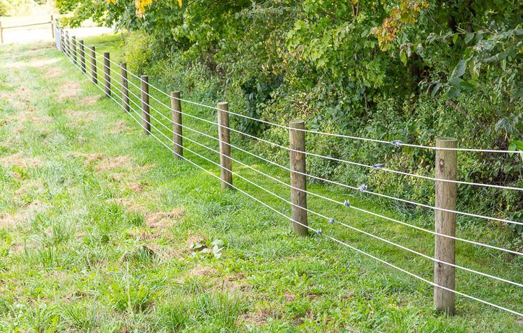 A wire fence is surrounded by trees in a grassy field.