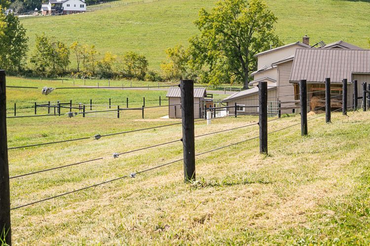 A barbed wire fence surrounds a grassy field with a house in the background.