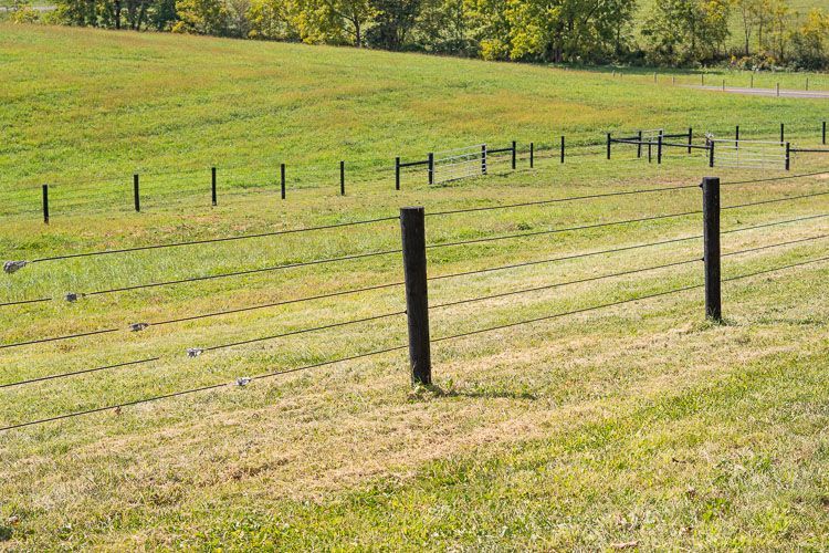 A barbed wire fence surrounds a grassy field.