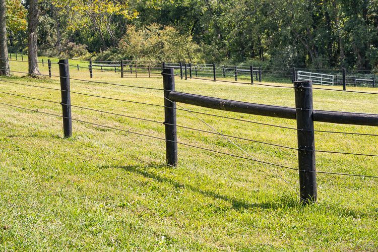 There is a barbed wire fence in the middle of a grassy field.