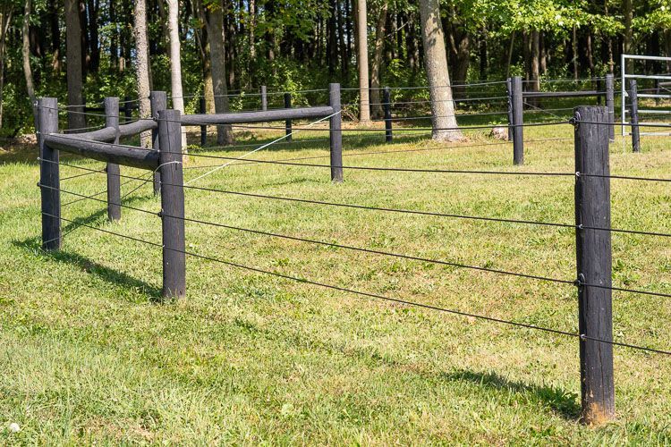 There is a barbed wire fence in the middle of a grassy field.