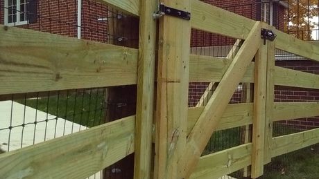 Horse Fence