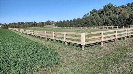 Board Fence