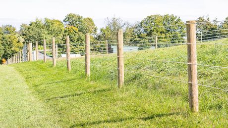 A black barbed wire fence surrounds a grassy field.