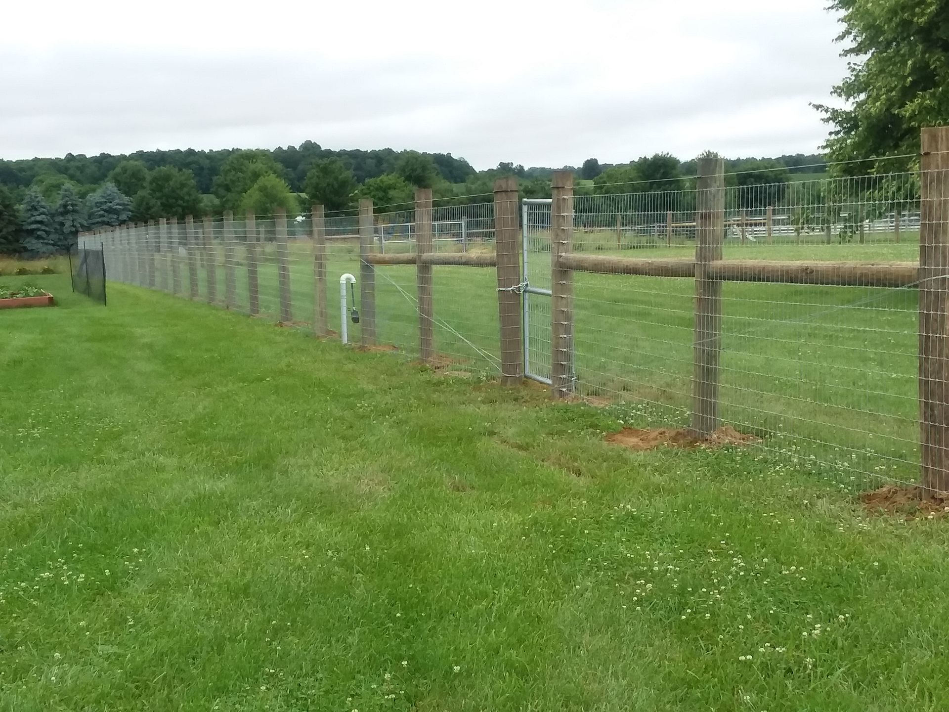 A wooden fence surrounds a lush green field