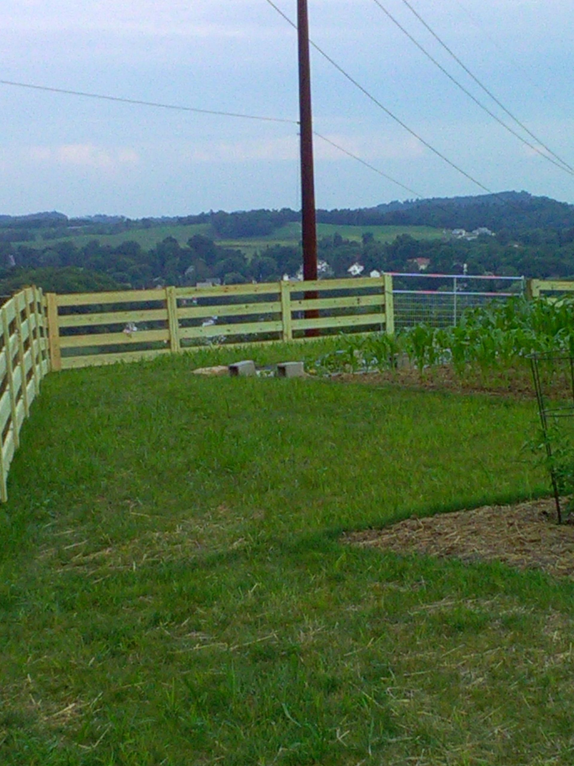 A wooden fence surrounds a lush green field