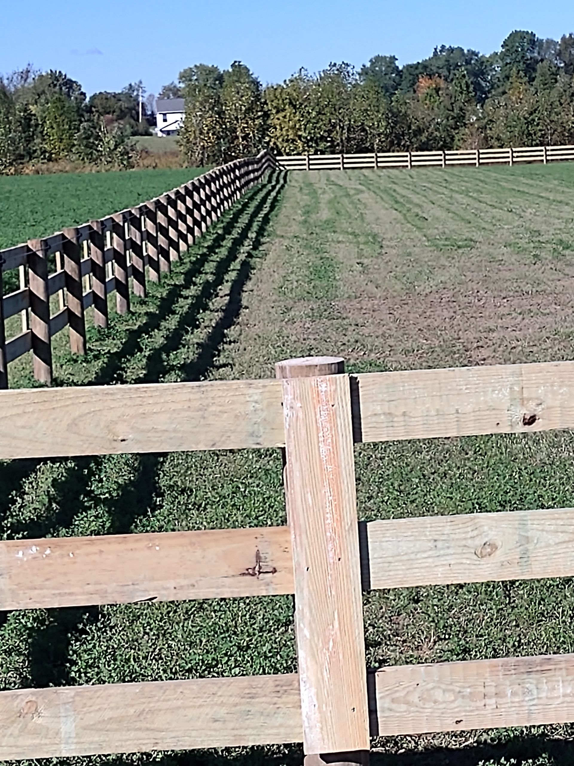 A wooden fence surrounds a grassy field.