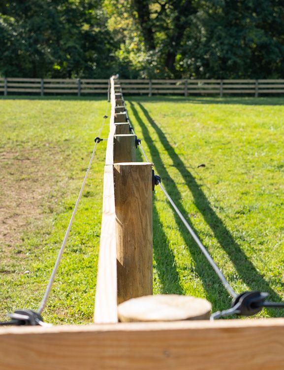 A wooden fence surrounds a grassy field with trees in the background.