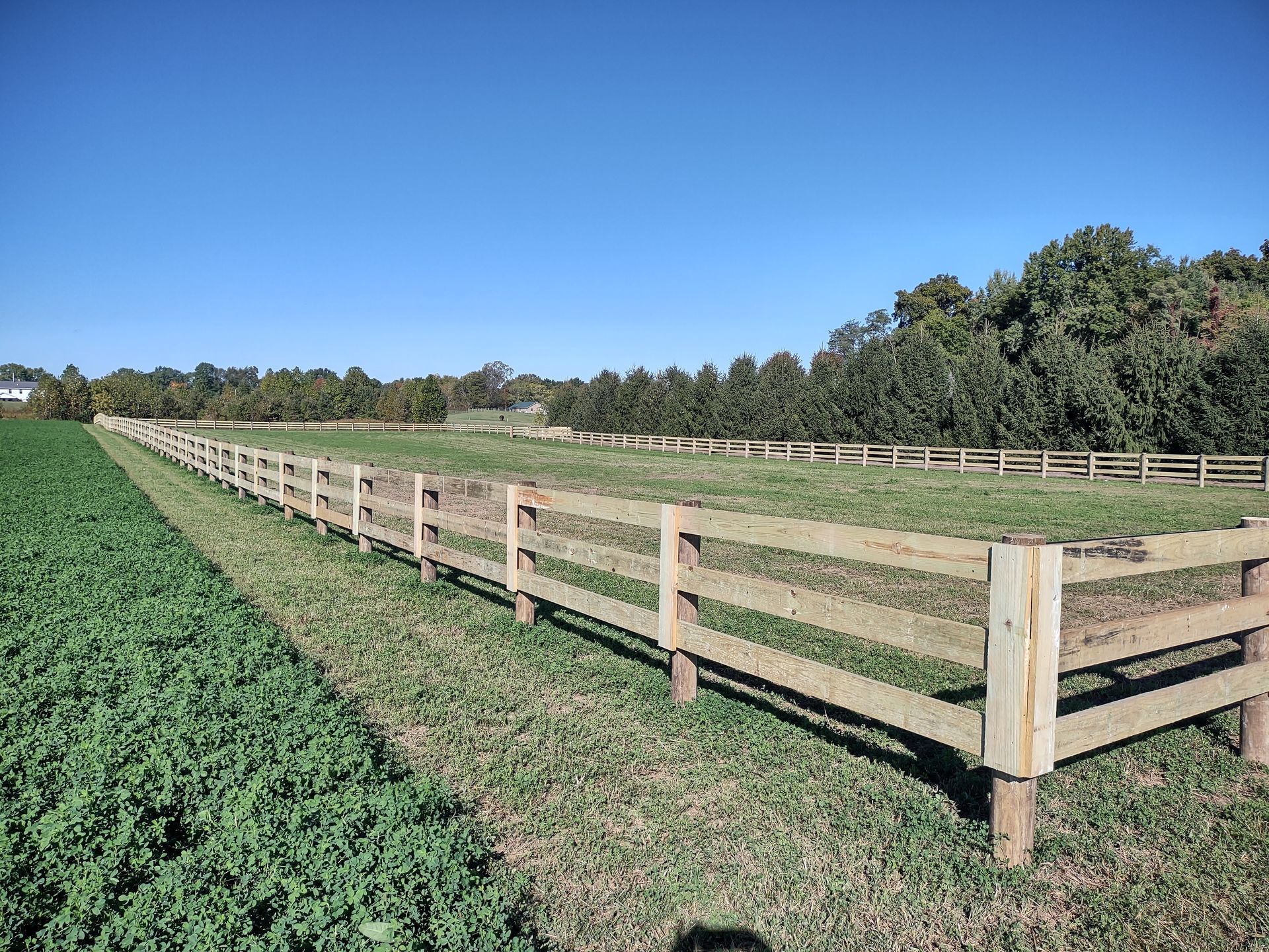 A wooden fence surrounds a grassy field with trees in the background.