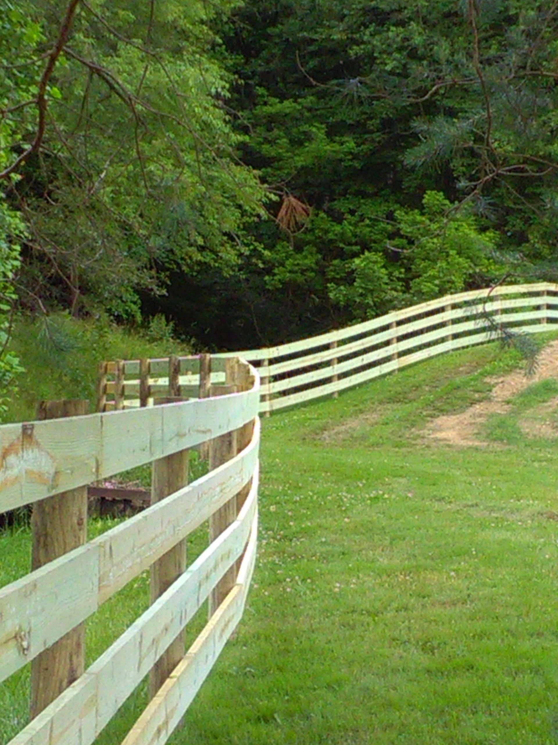 A wooden fence surrounds a grassy field with trees in the background.