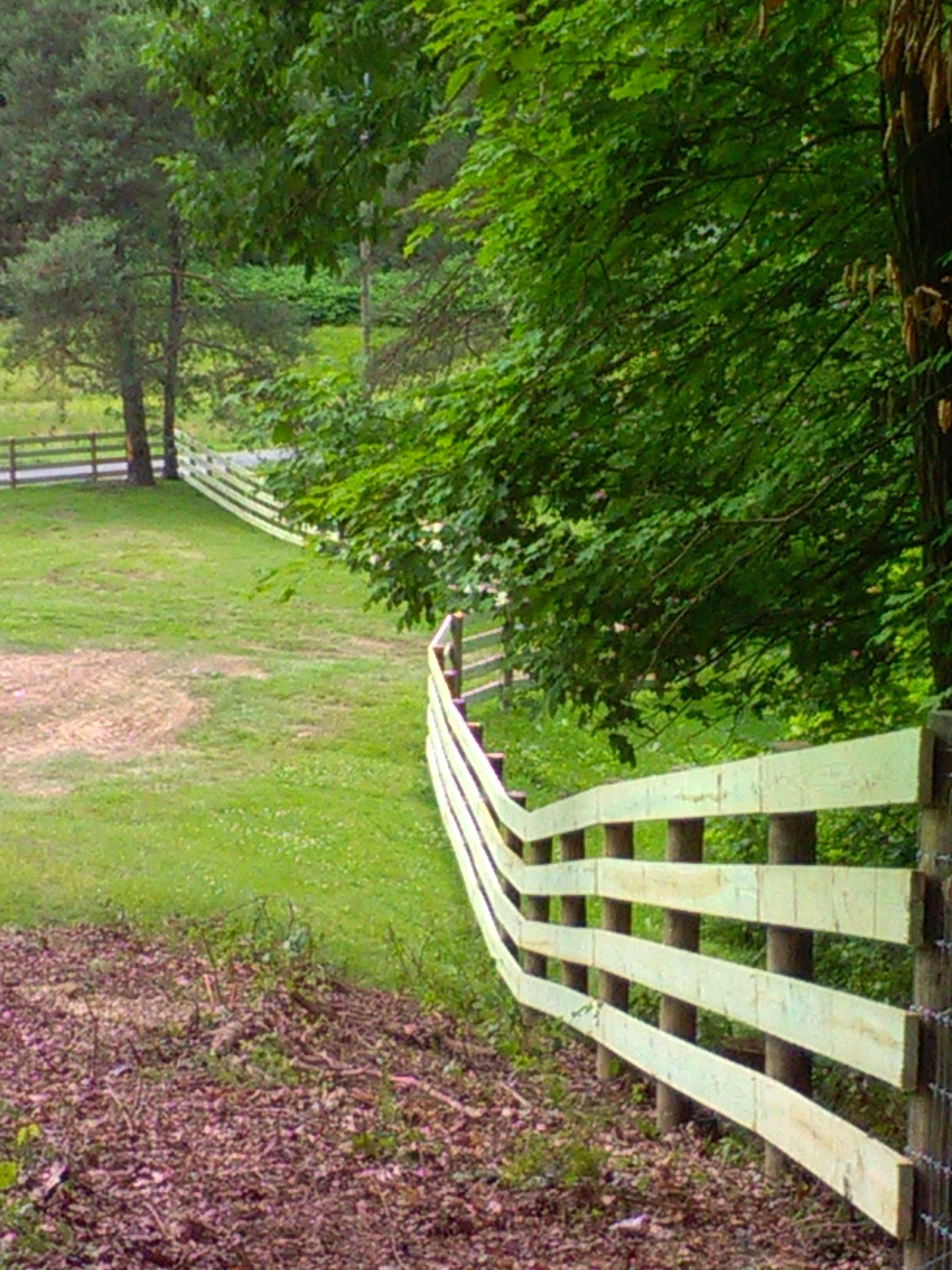 A wooden fence surrounds a grassy field with trees in the background.