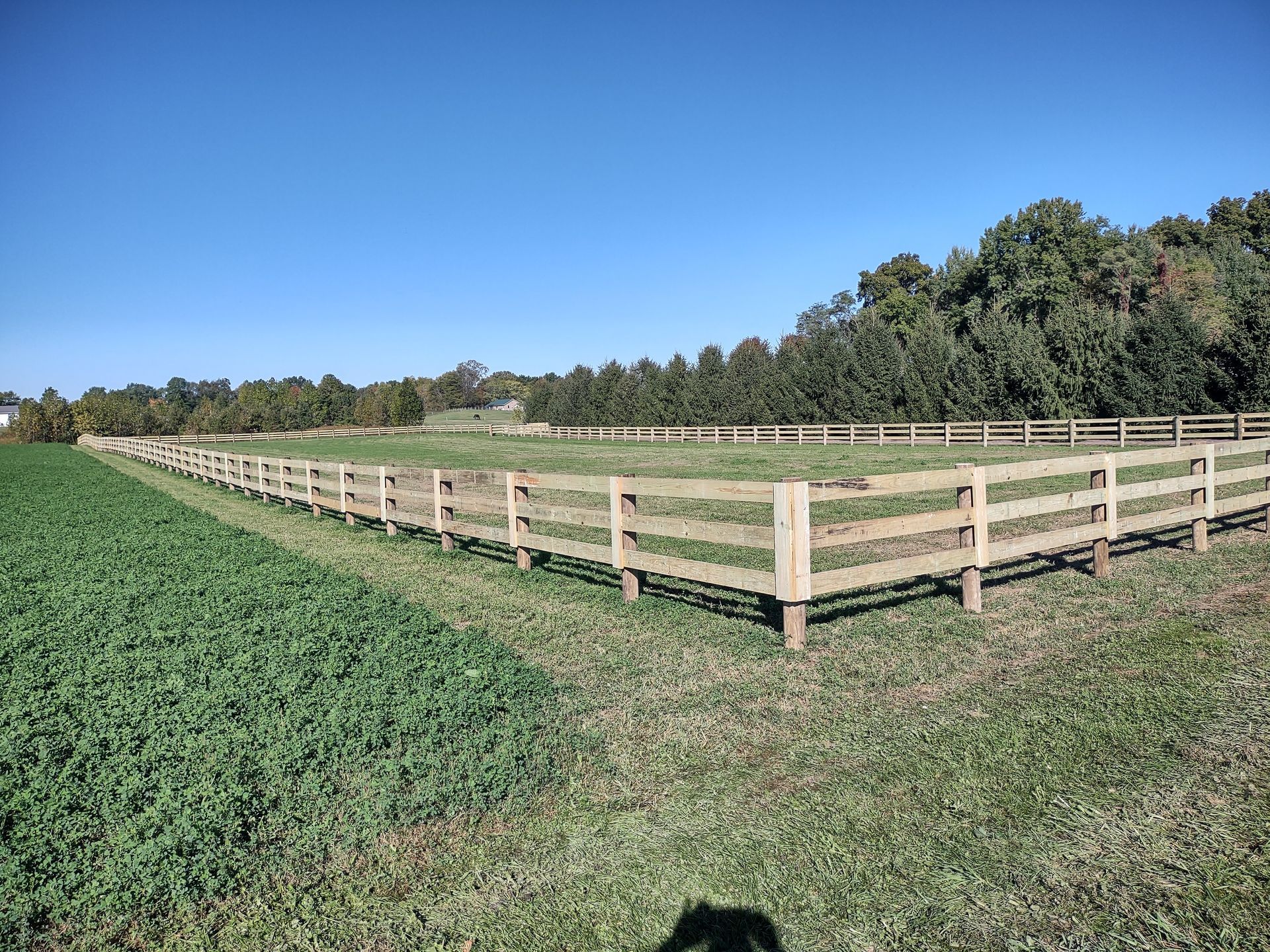 A wooden fence surrounds a grassy field with trees in the background.