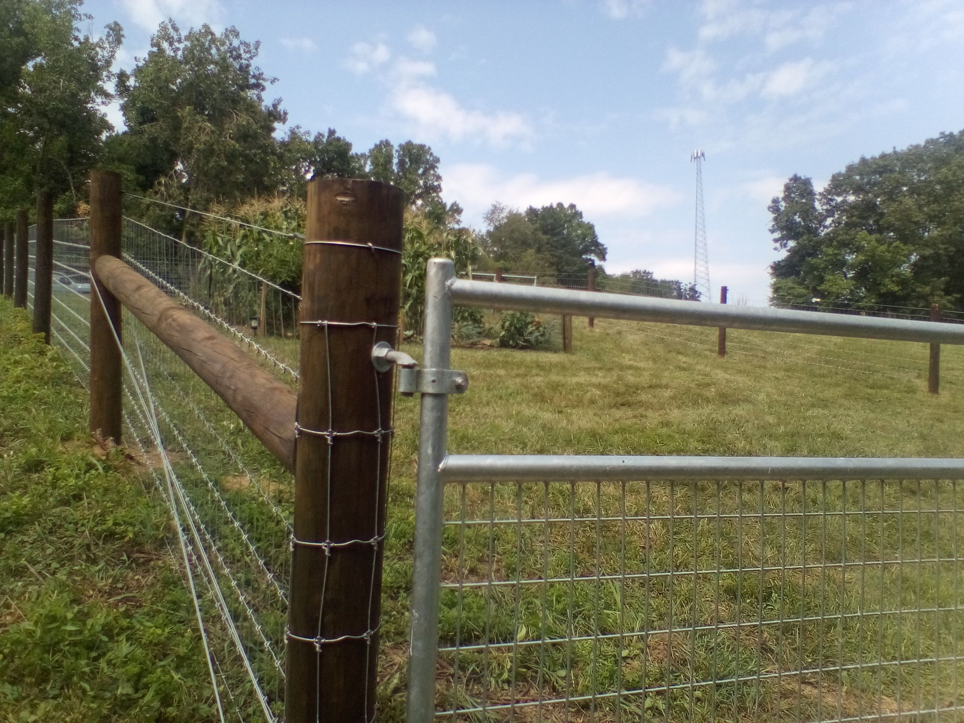 A metal gate and fence on a grassy field, with trees and a blue sky in the background.