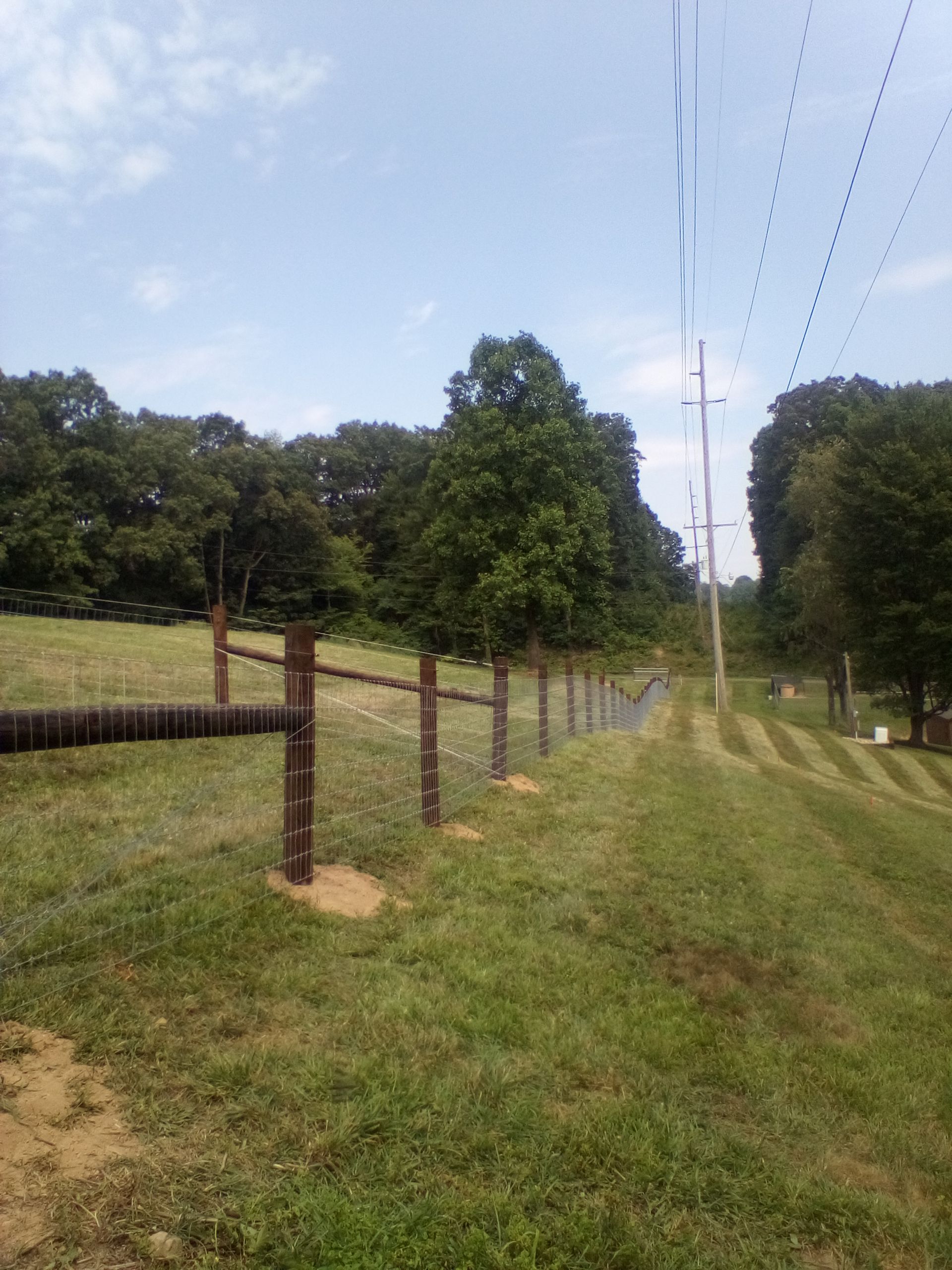 Fence with power lines, running alongside a grassy path and trees, on a sunny day.