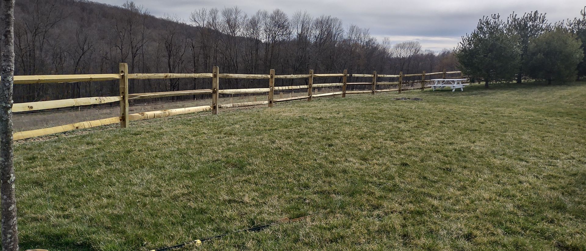 A wooden fence surrounds a grassy field with trees in the background.