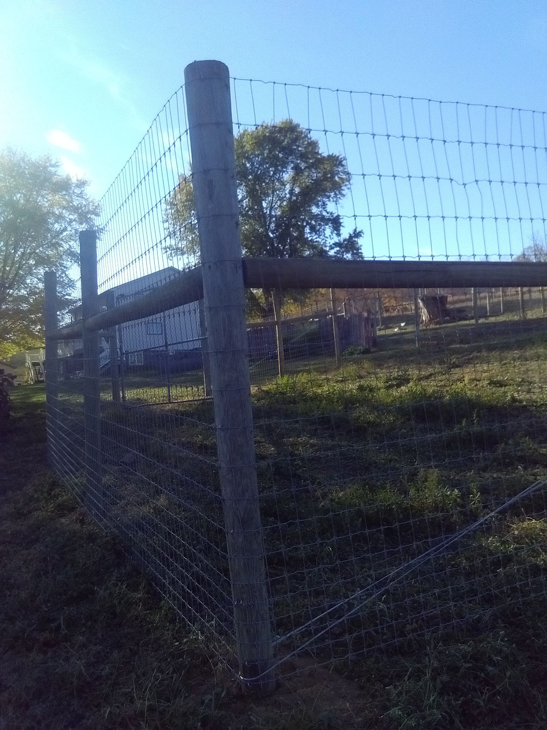 A chain link fence with a wooden post in the foreground