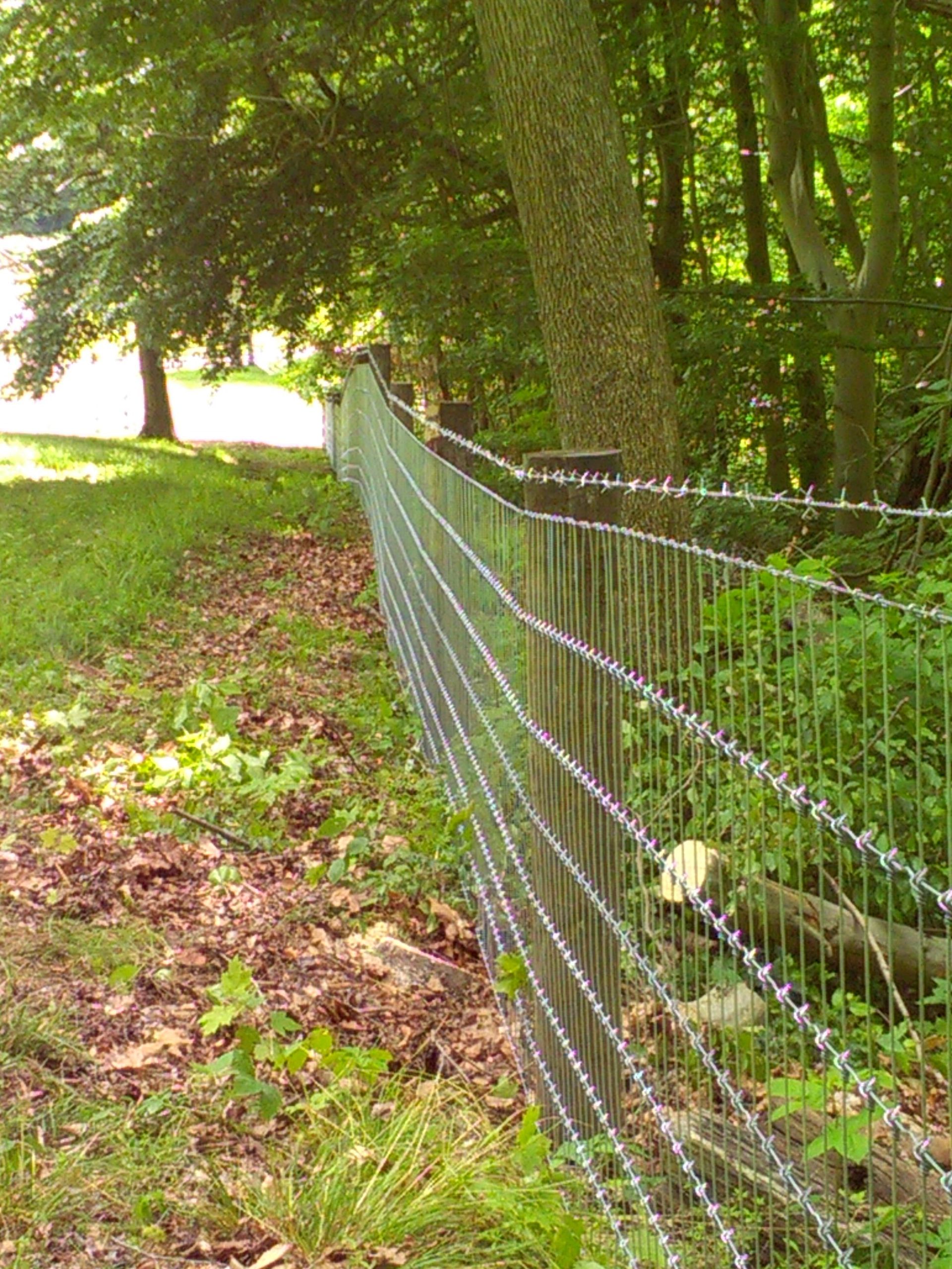 A wire fence surrounds a wooden post in the woods.