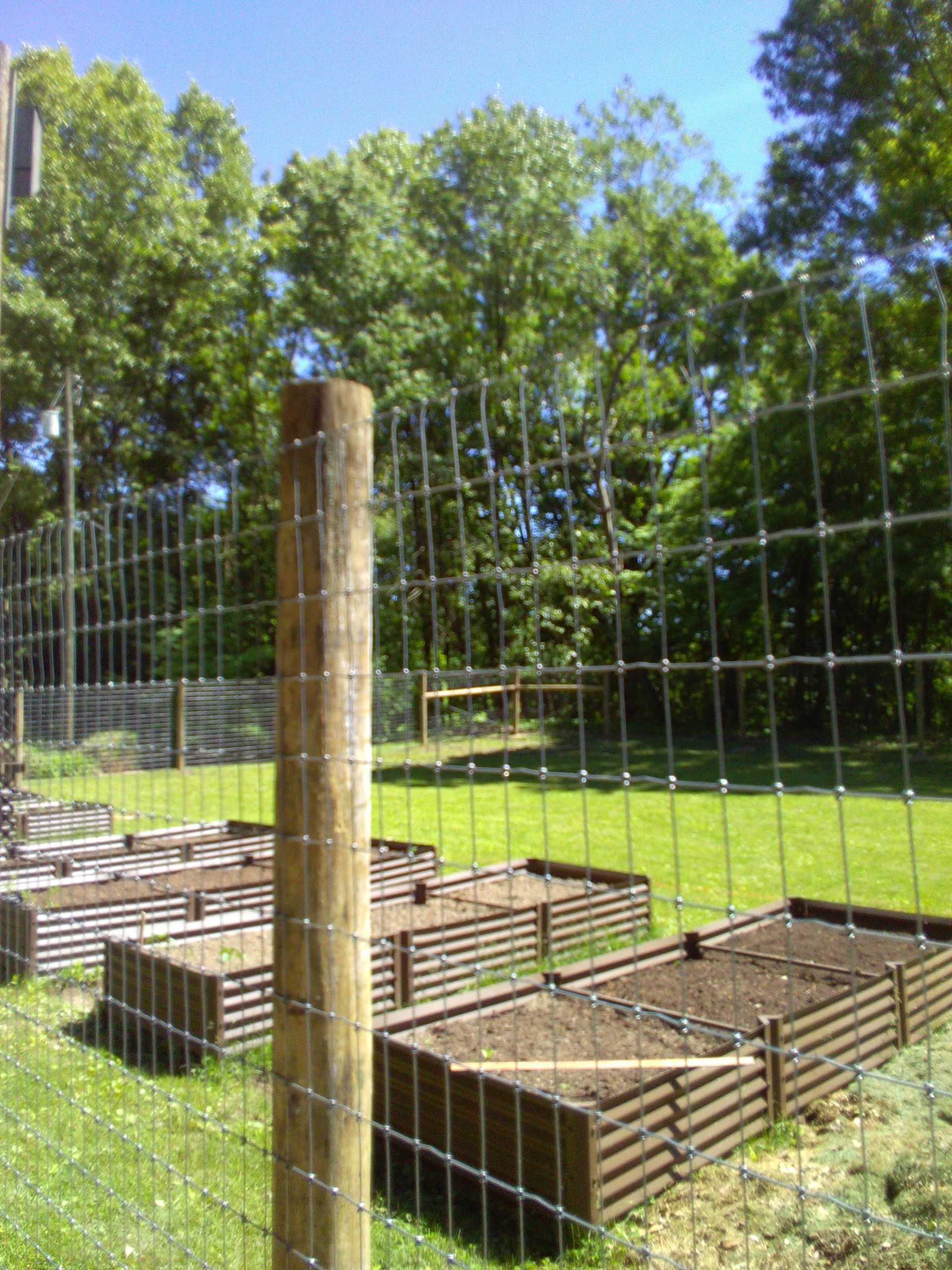 Close up of a wired fence