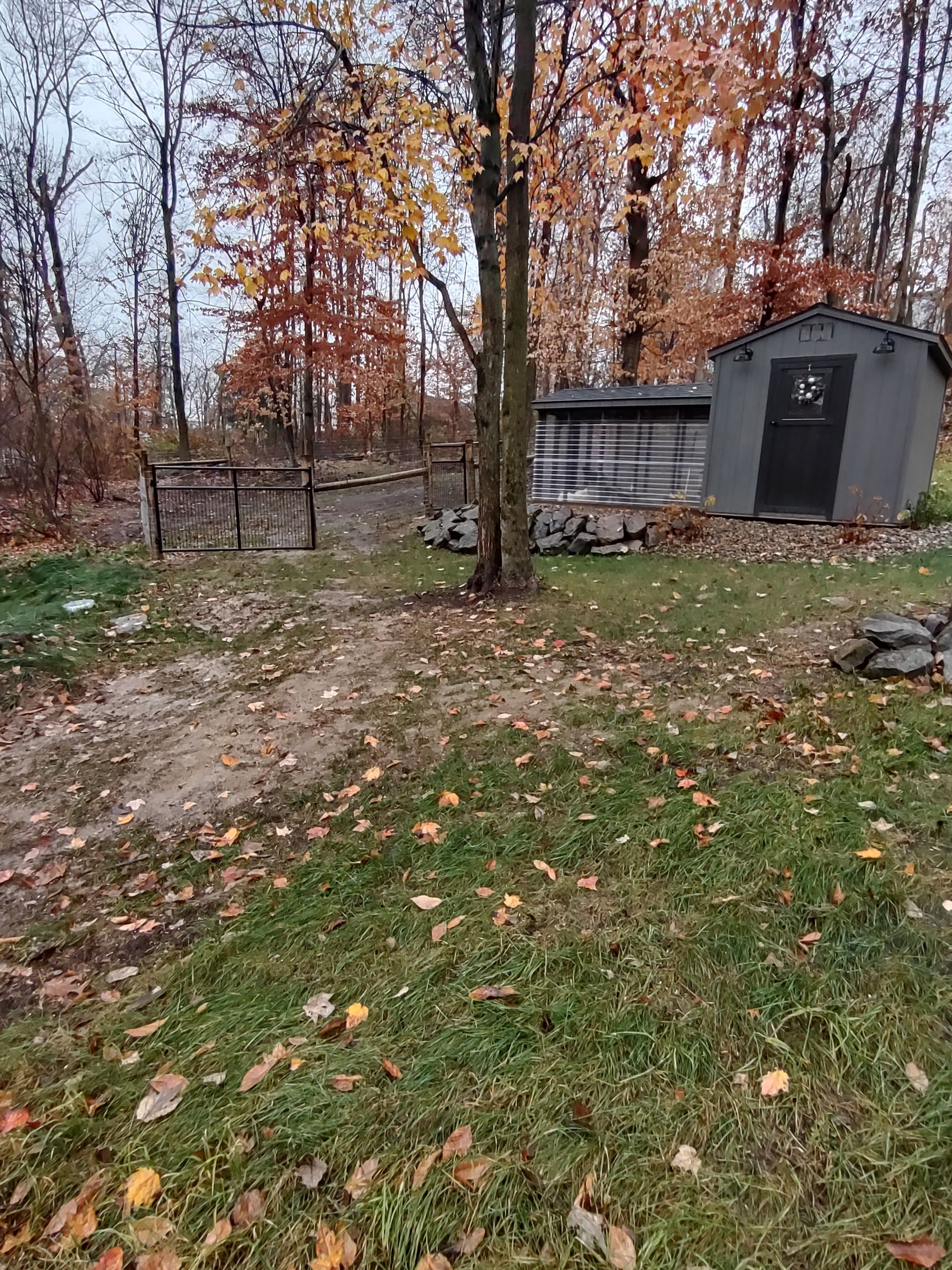 A fence is surrounded by rocks and trees in the woods
