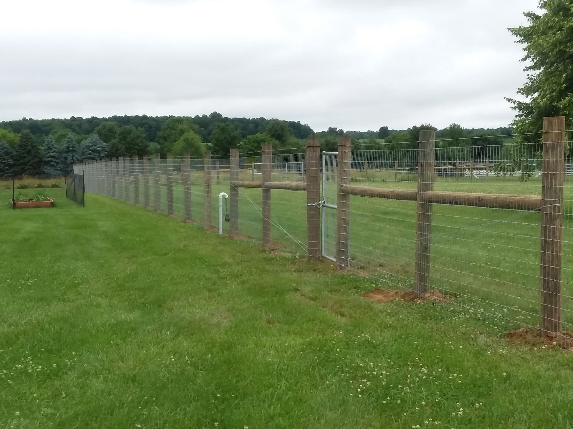 Wooden fence on a grassy field