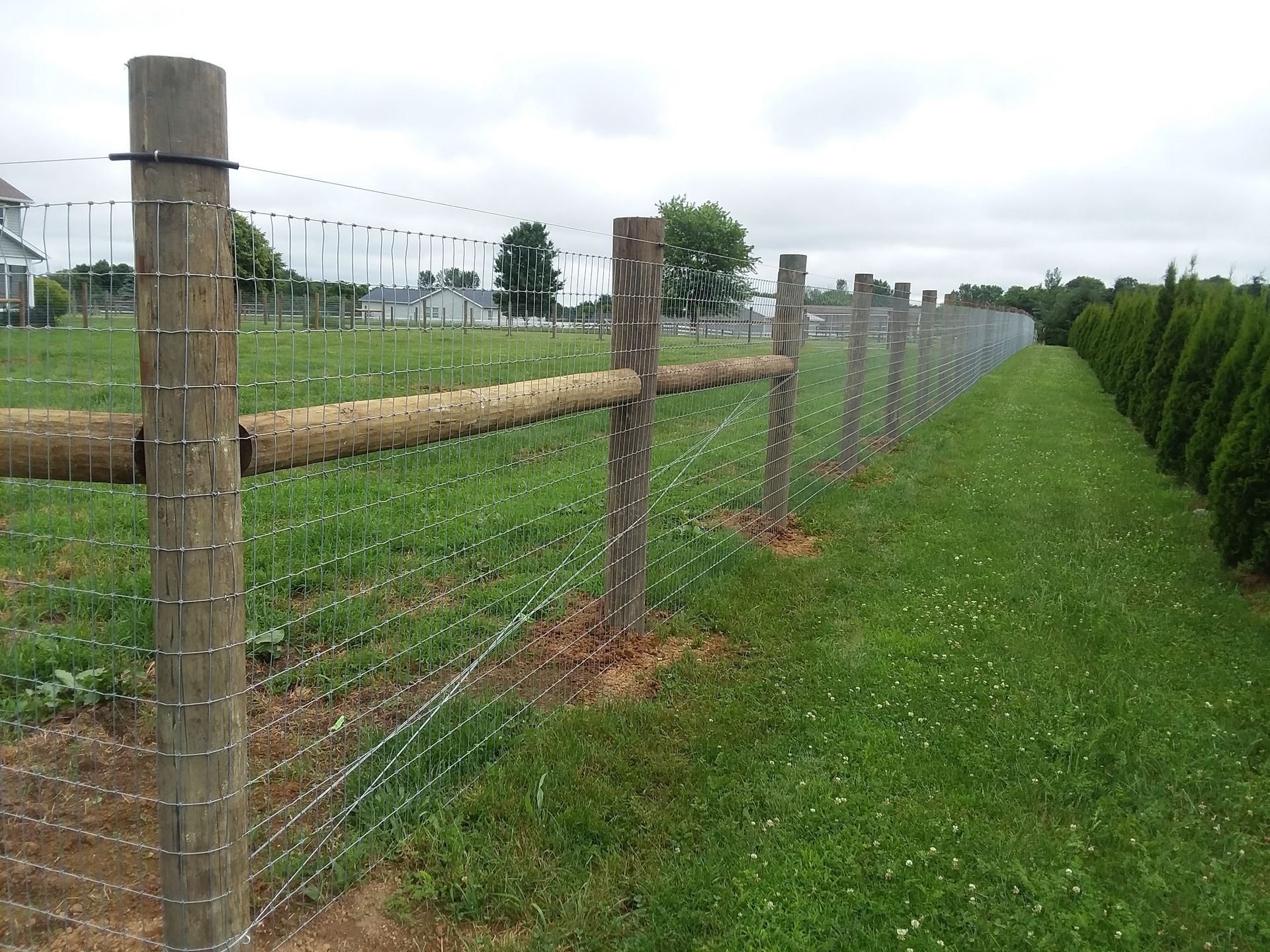 A barbed wire fence surrounds a lush green field