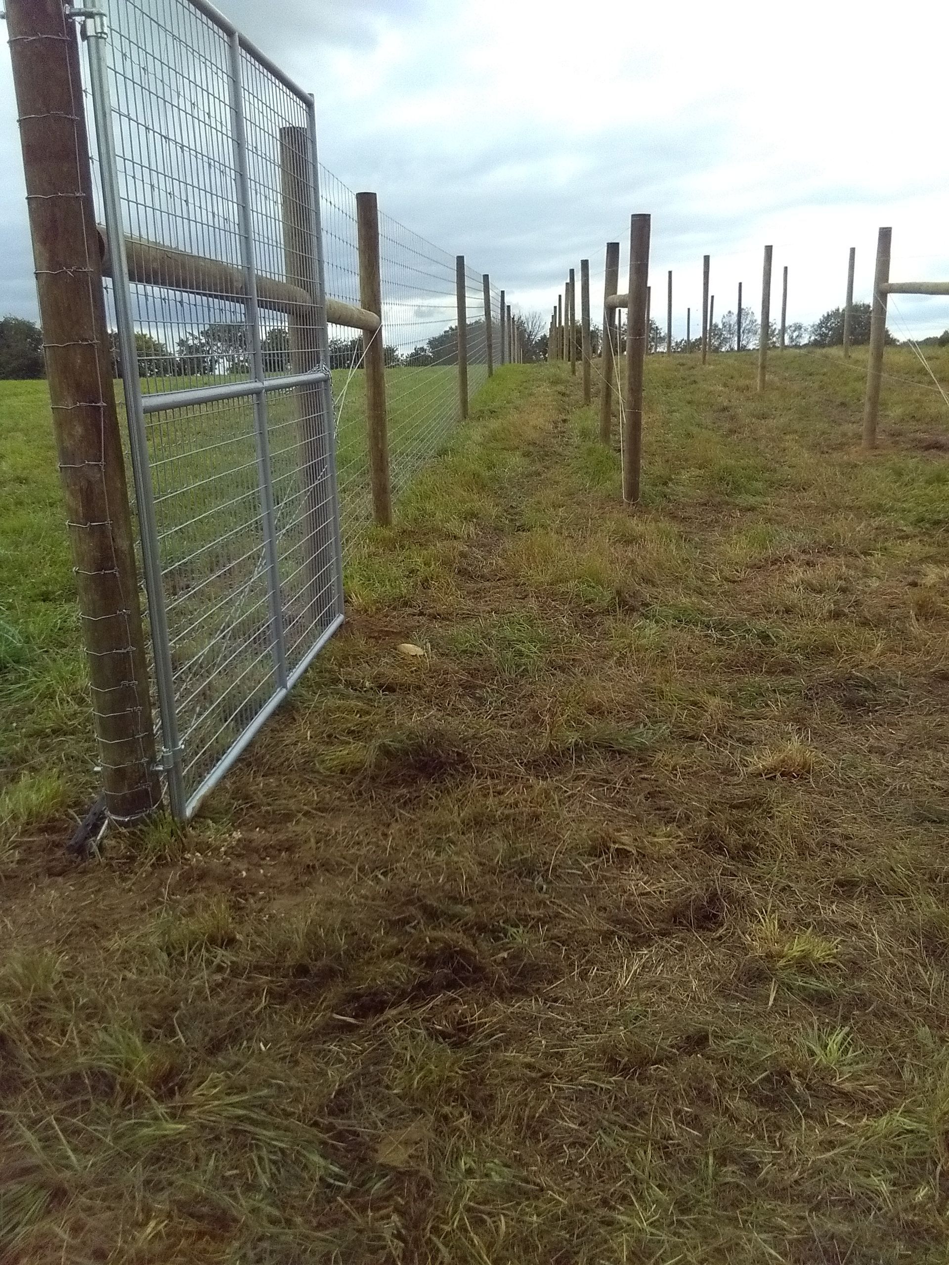 A fence with a gate in the middle of a field
