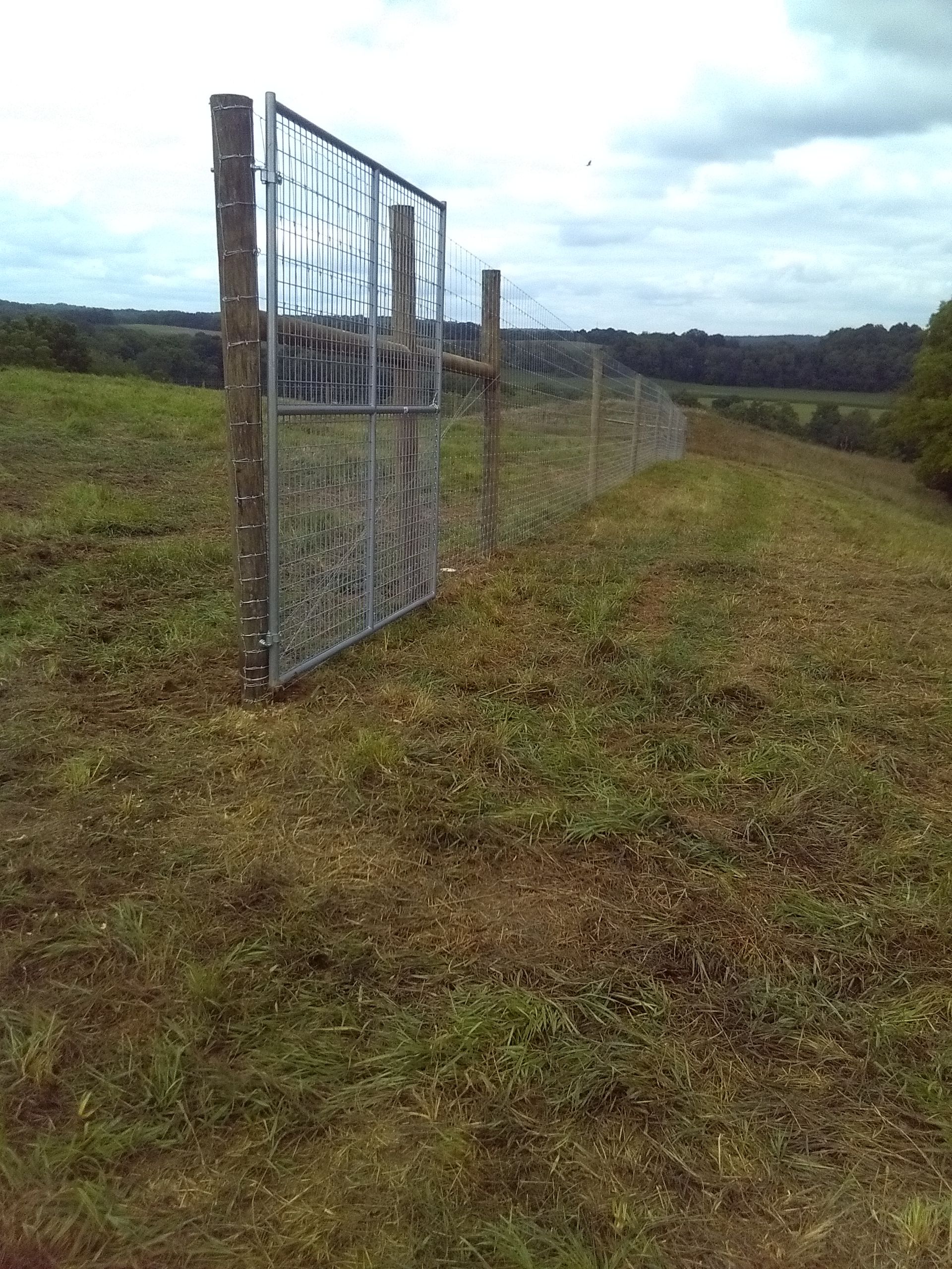 A metal gate is sitting in the middle of a grassy field