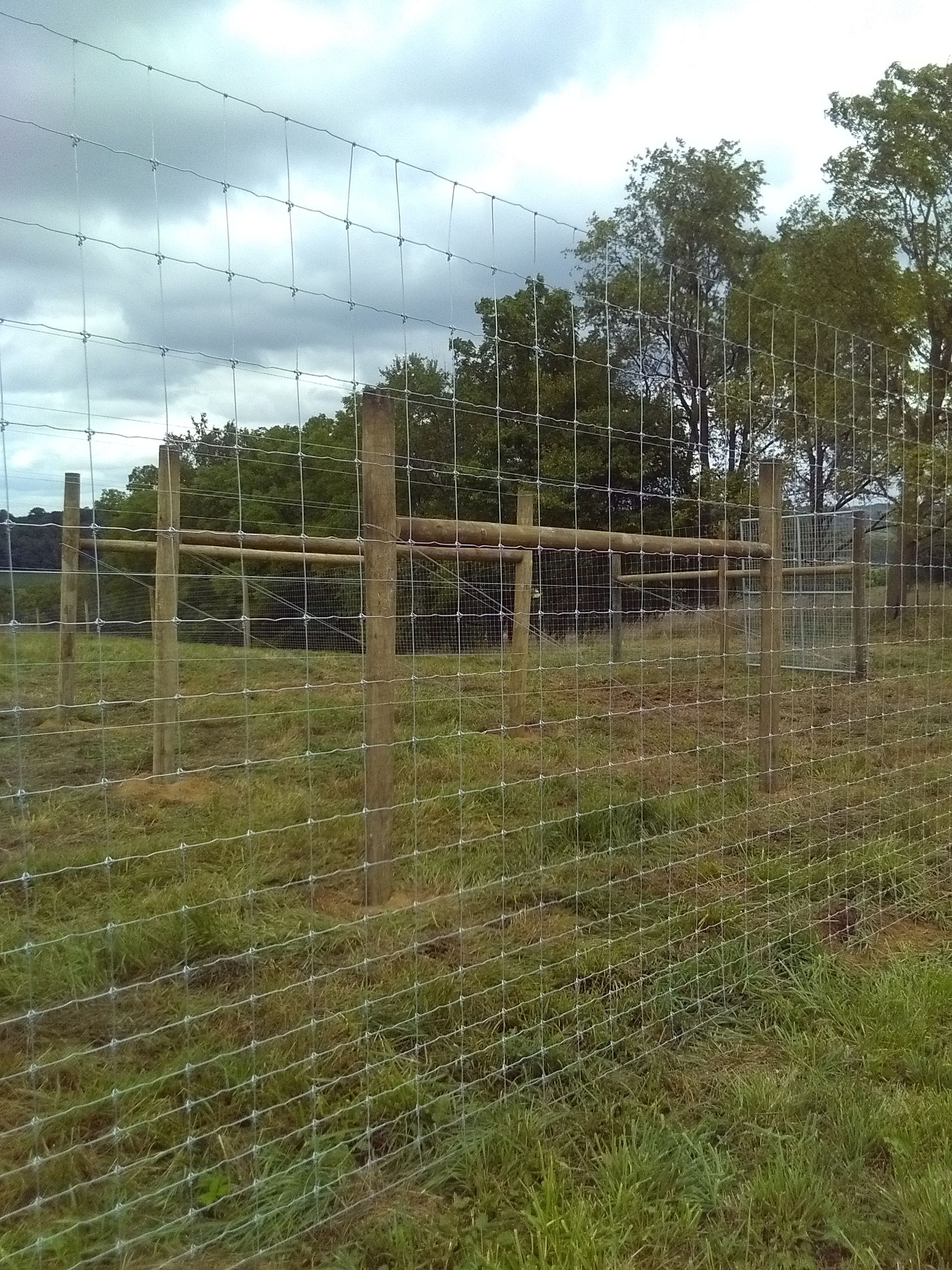 A barbed wire fence surrounds a grassy field with trees in the background