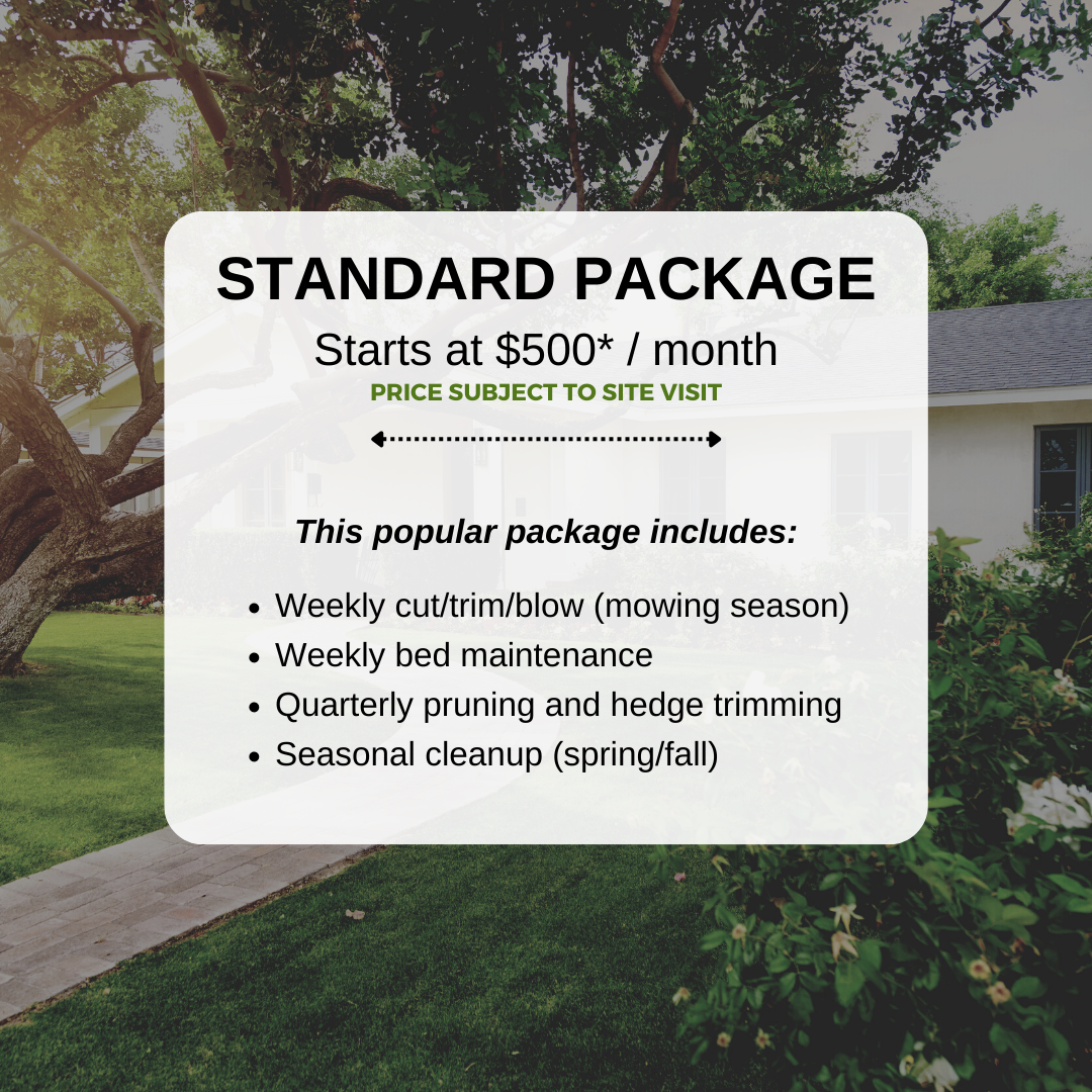 Standard Package Quote